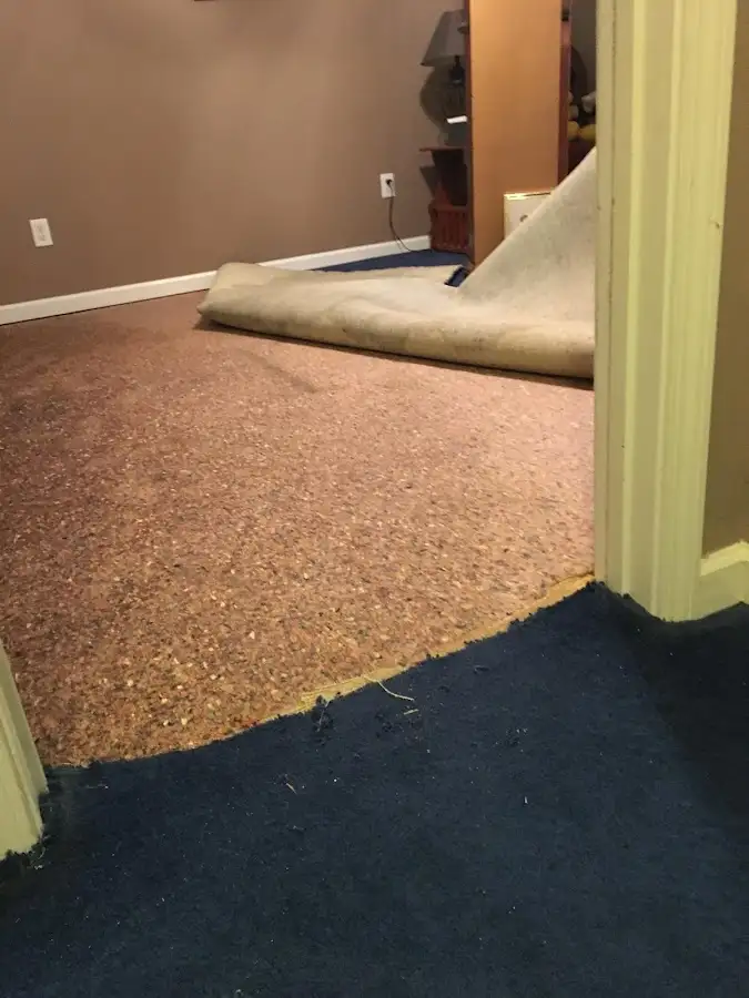 Carpet pad removal revealing water damage during Water Mitigation Services in Bourne