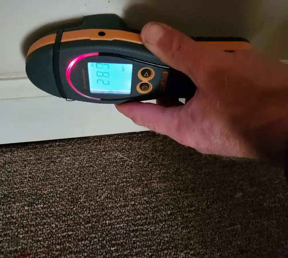 Moisture detection at baseboard during Sewage Cleanup & Sanitation in Bourne